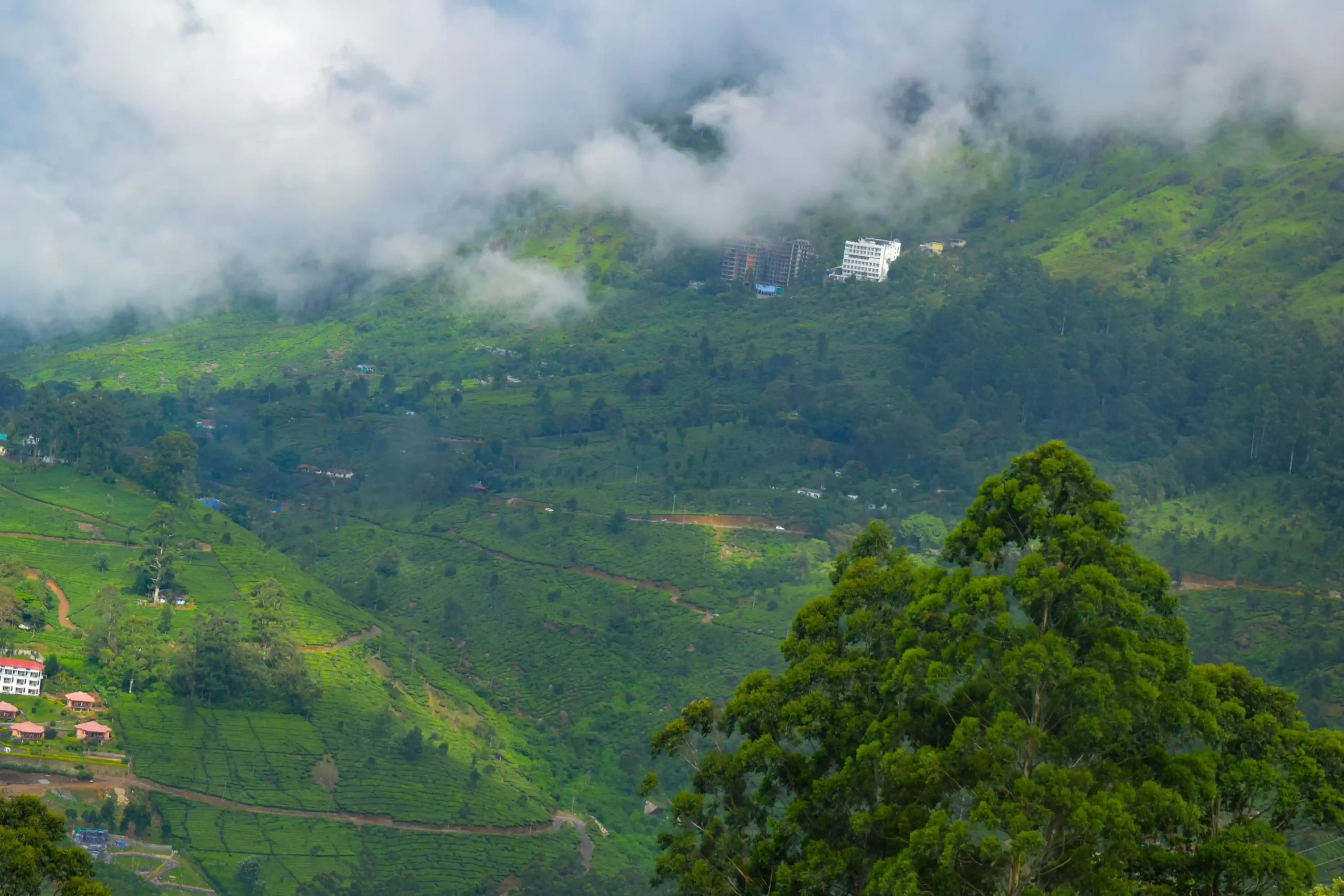 Clouds and mist roll over lush green hills and tea plantations in Munnar, with trees and scattered houses visible below.