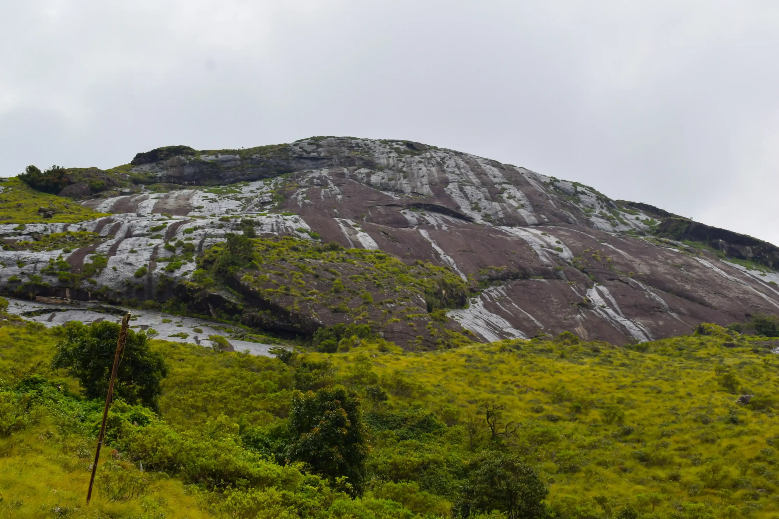 A rocky hill covered in green grass and sparse shrubs rises beneath a cloudy sky in Munnar during the monsoon.
