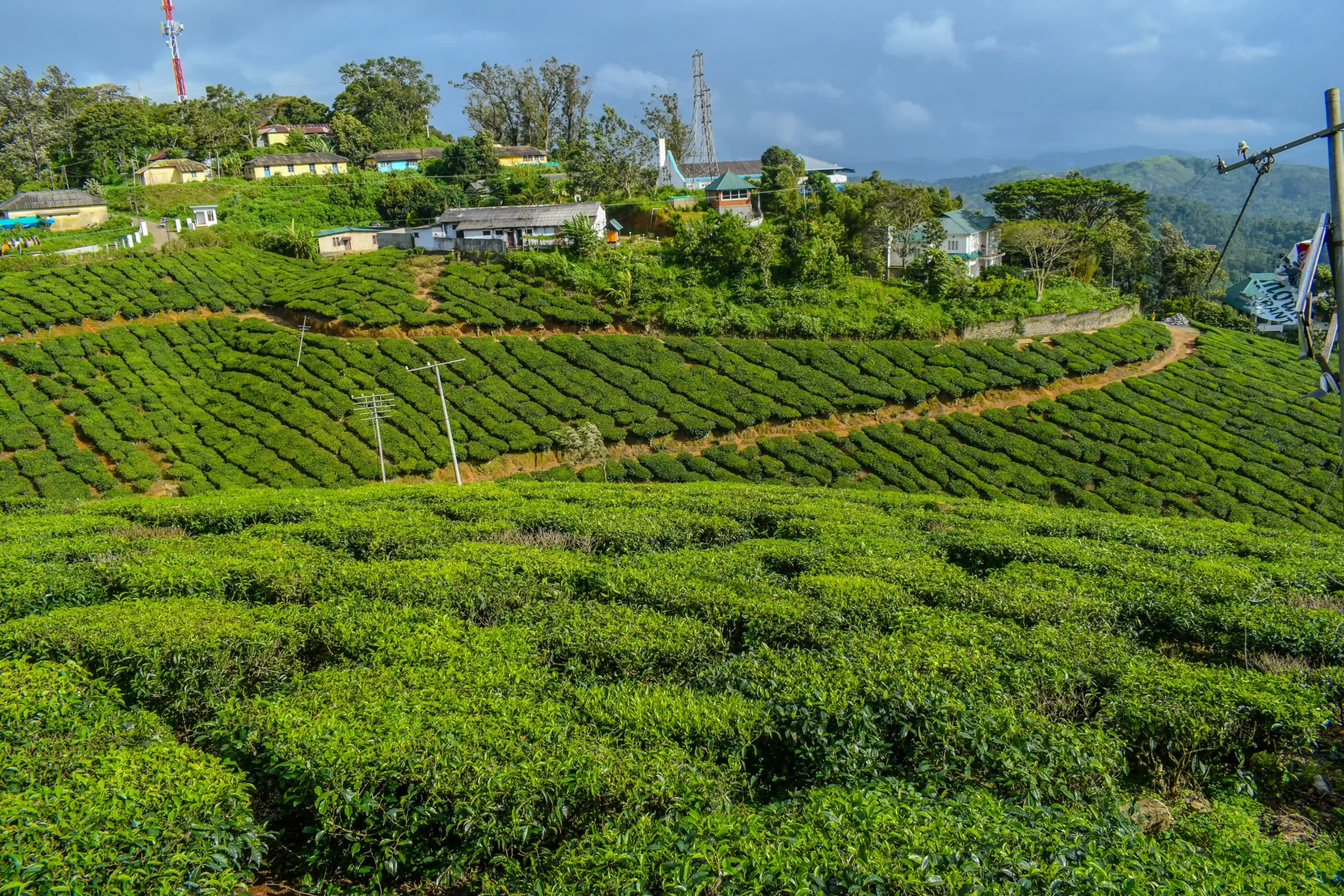Expansive tea plantations on lush, rolling hills under a cloudy sky in Munnar, with village houses in the background.