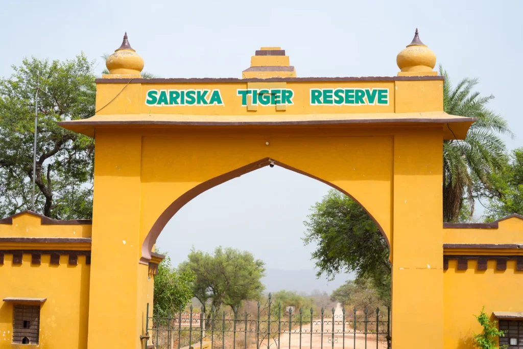 Yellow arched entrance gate of Sariska Tiger Reserve in Alwar, Rajasthan, surrounded by green trees.