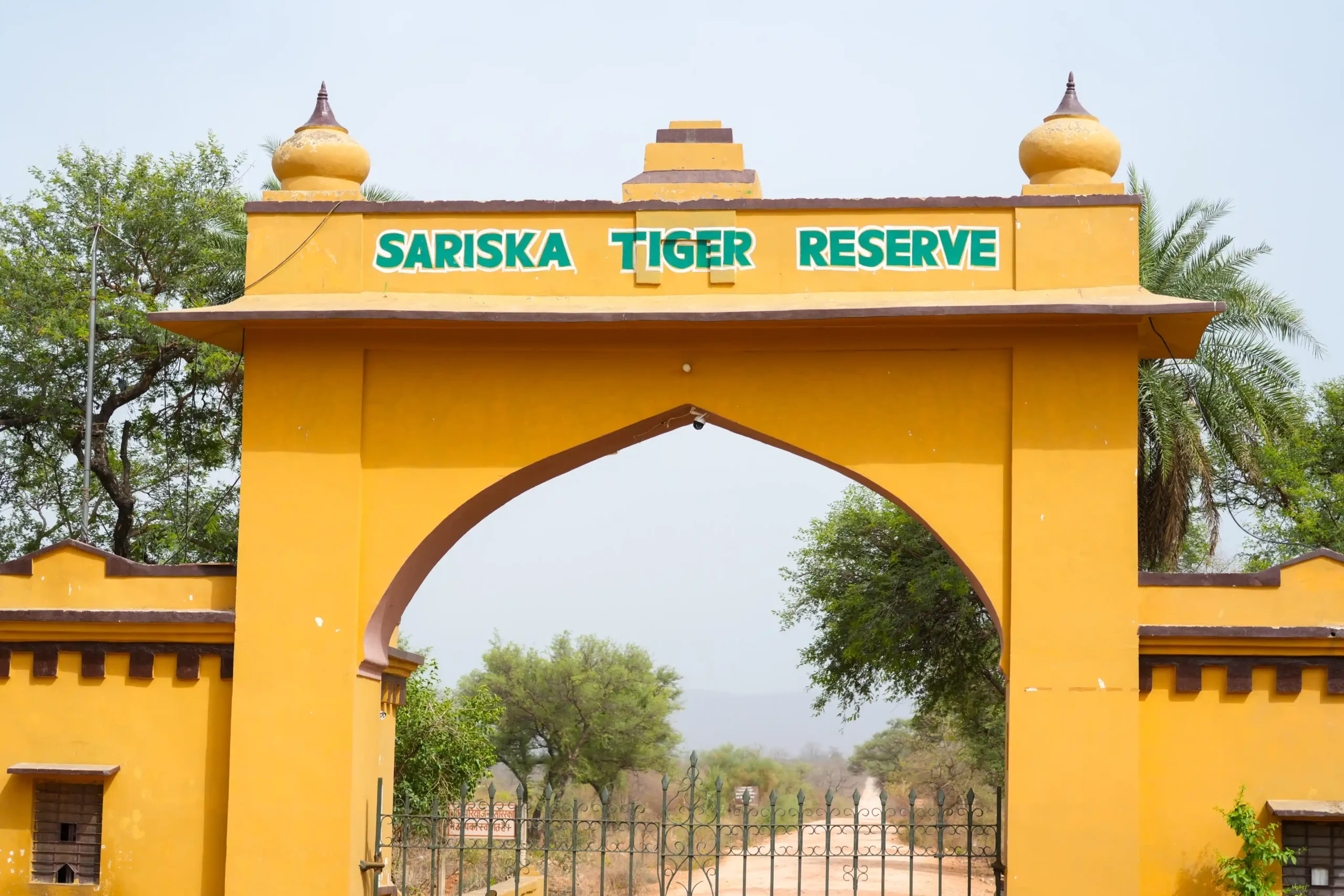 Yellow arched entrance gate of Sariska Tiger Reserve in Alwar, Rajasthan, surrounded by green trees.