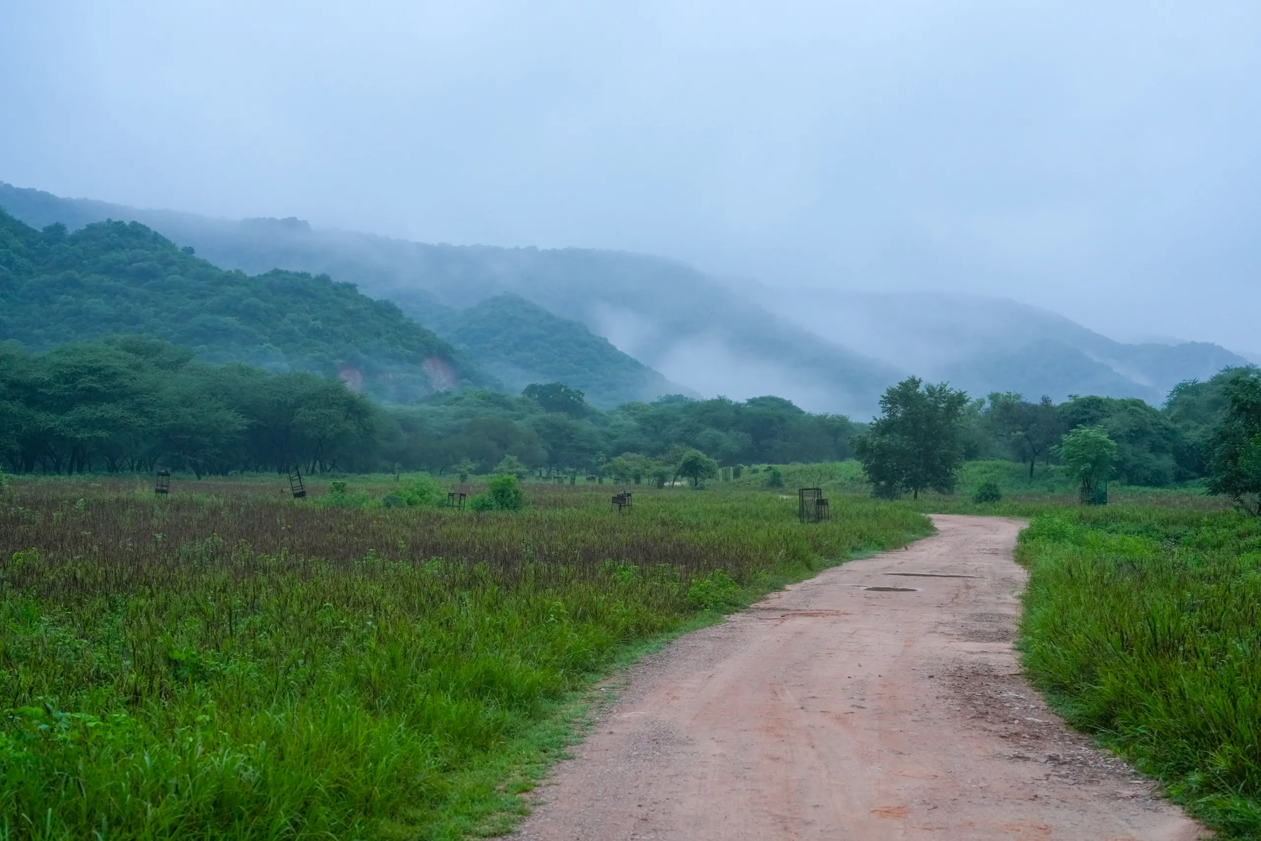 Misty hills and grassland seen from a Jhalana leopard safari trail near Jaipur.