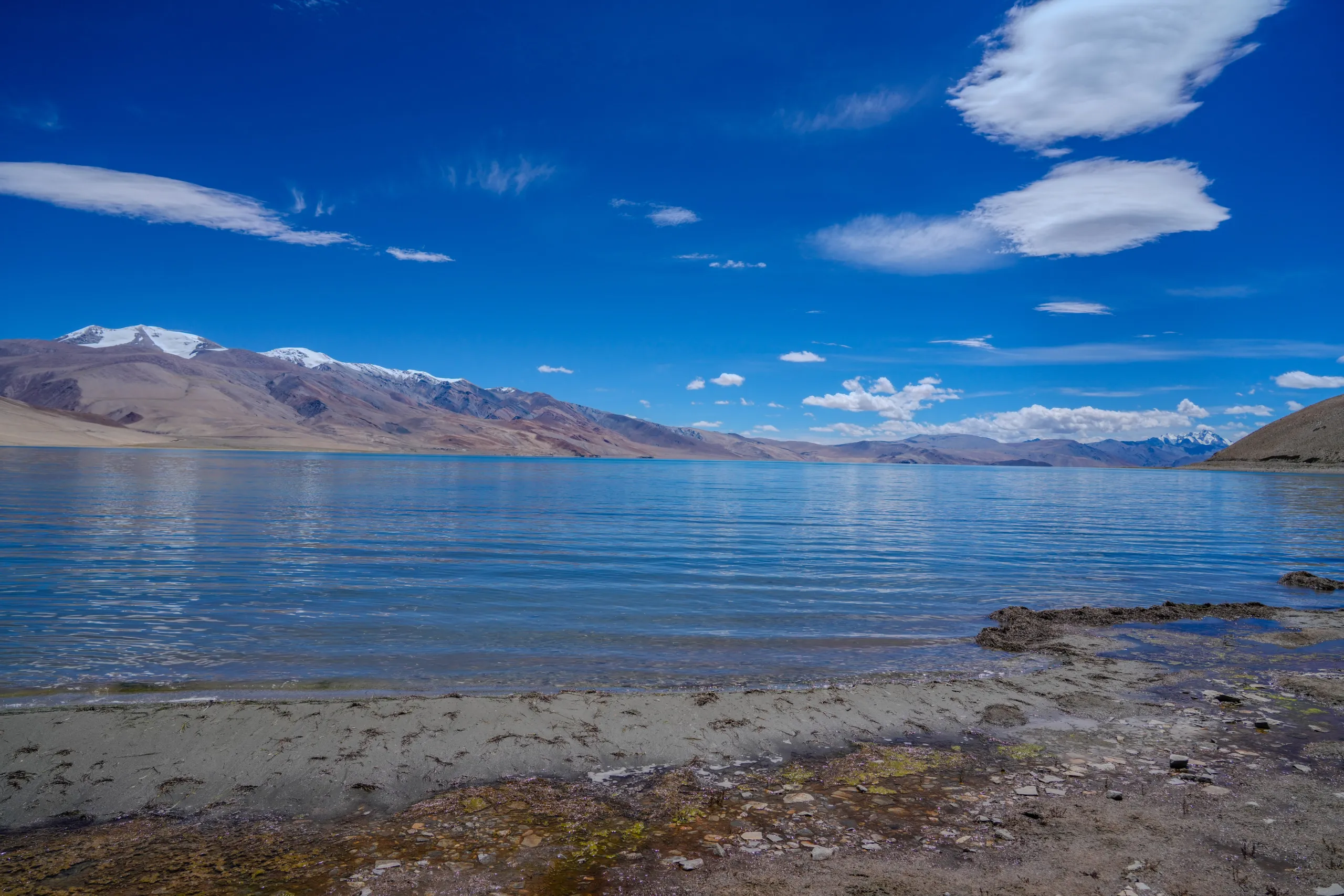 Shoreline view of Tso Moriri Lake with blue sky, calm water, and mountains in Ladakh